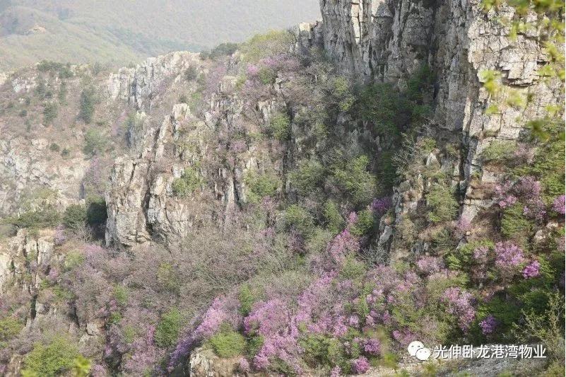 云顶集团(中国区)官方网站